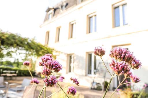 Dans Maison De Charme, Bel Appartement Privatif Saint-Laurent-de-Brevedent Exterior foto